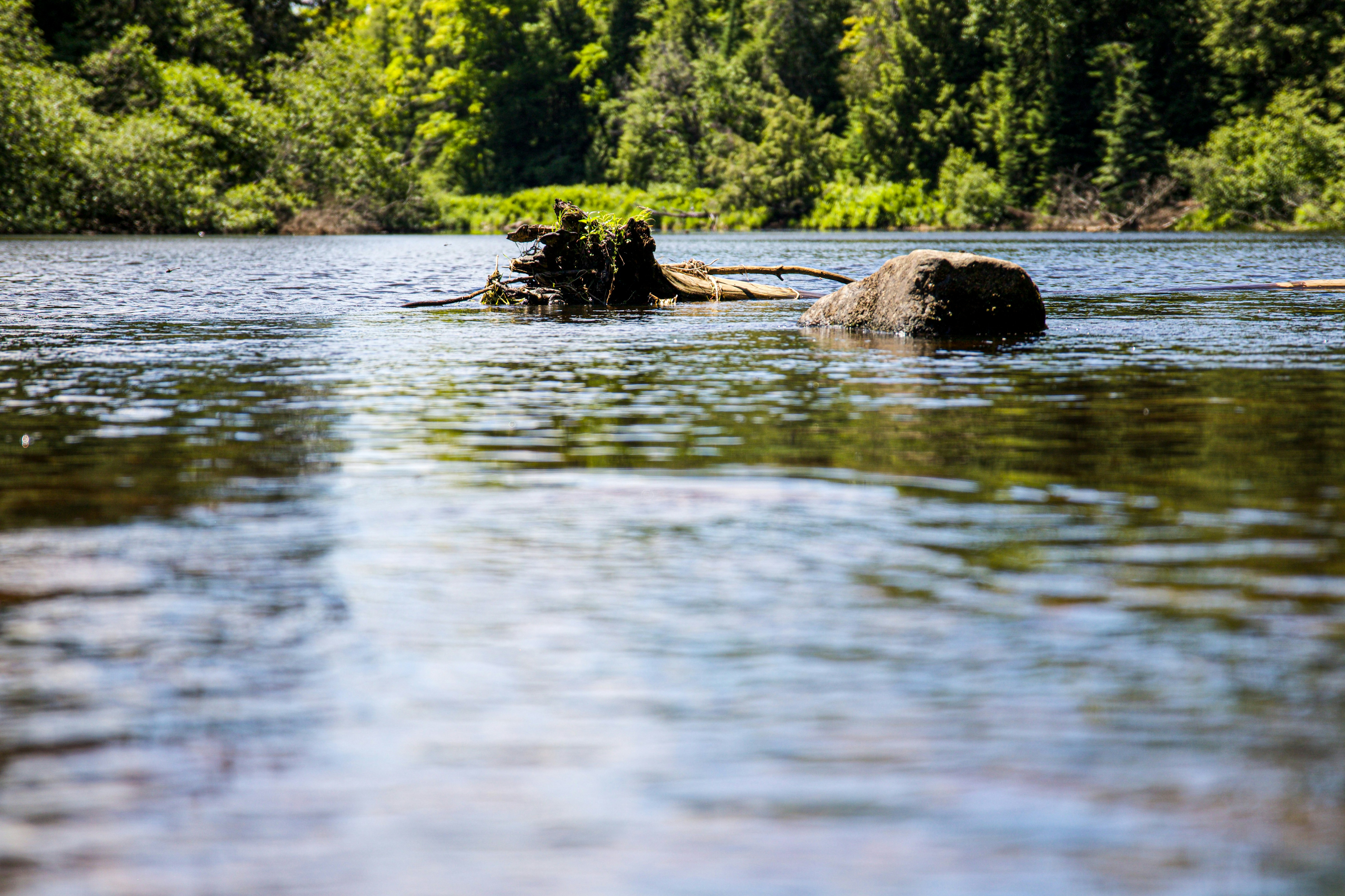 Photo by joseph_mulvaine