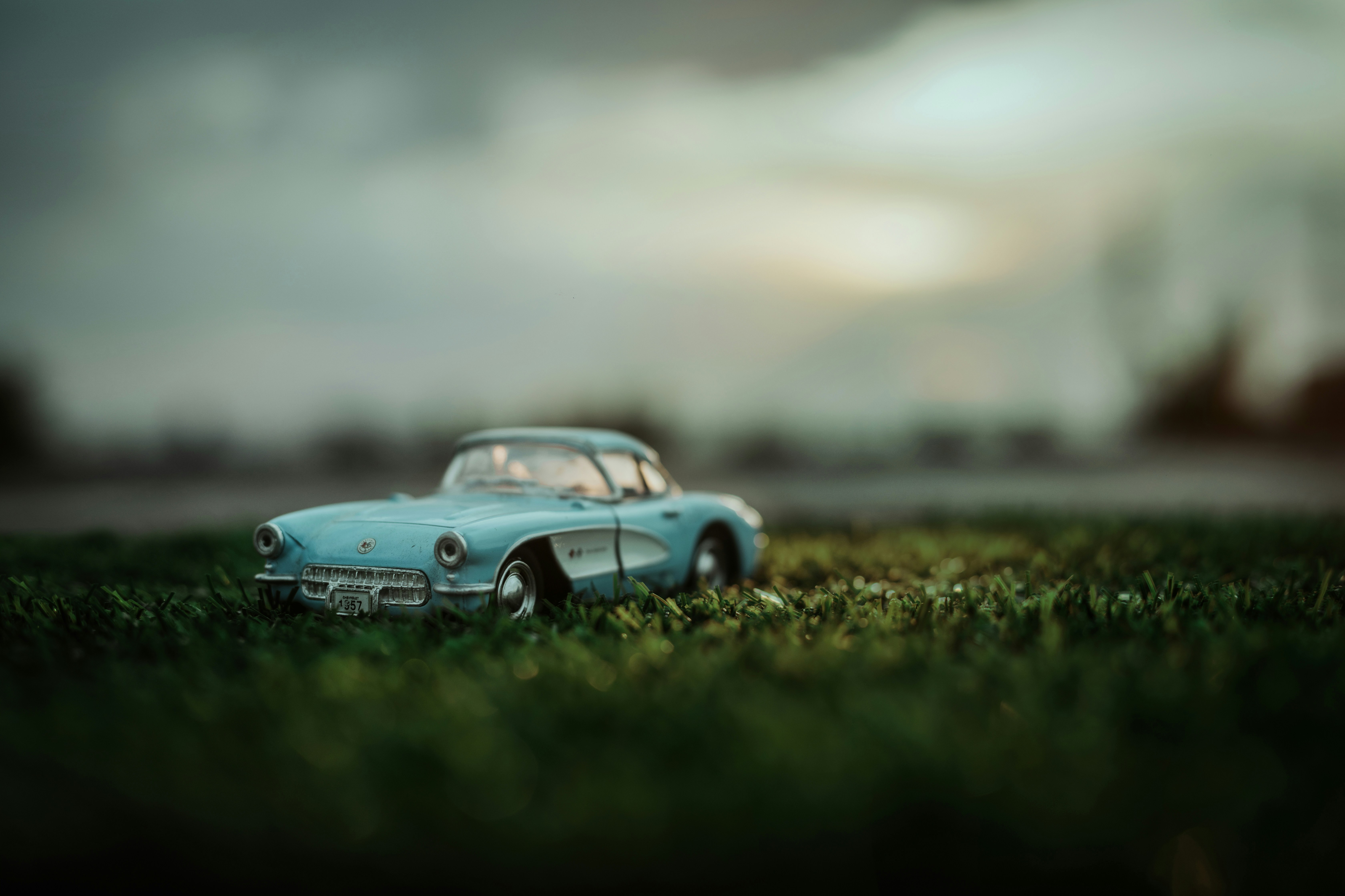 Photo by memorybites_by_kavinraj