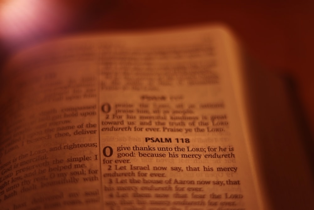 a close up of an open bible with a blurry background