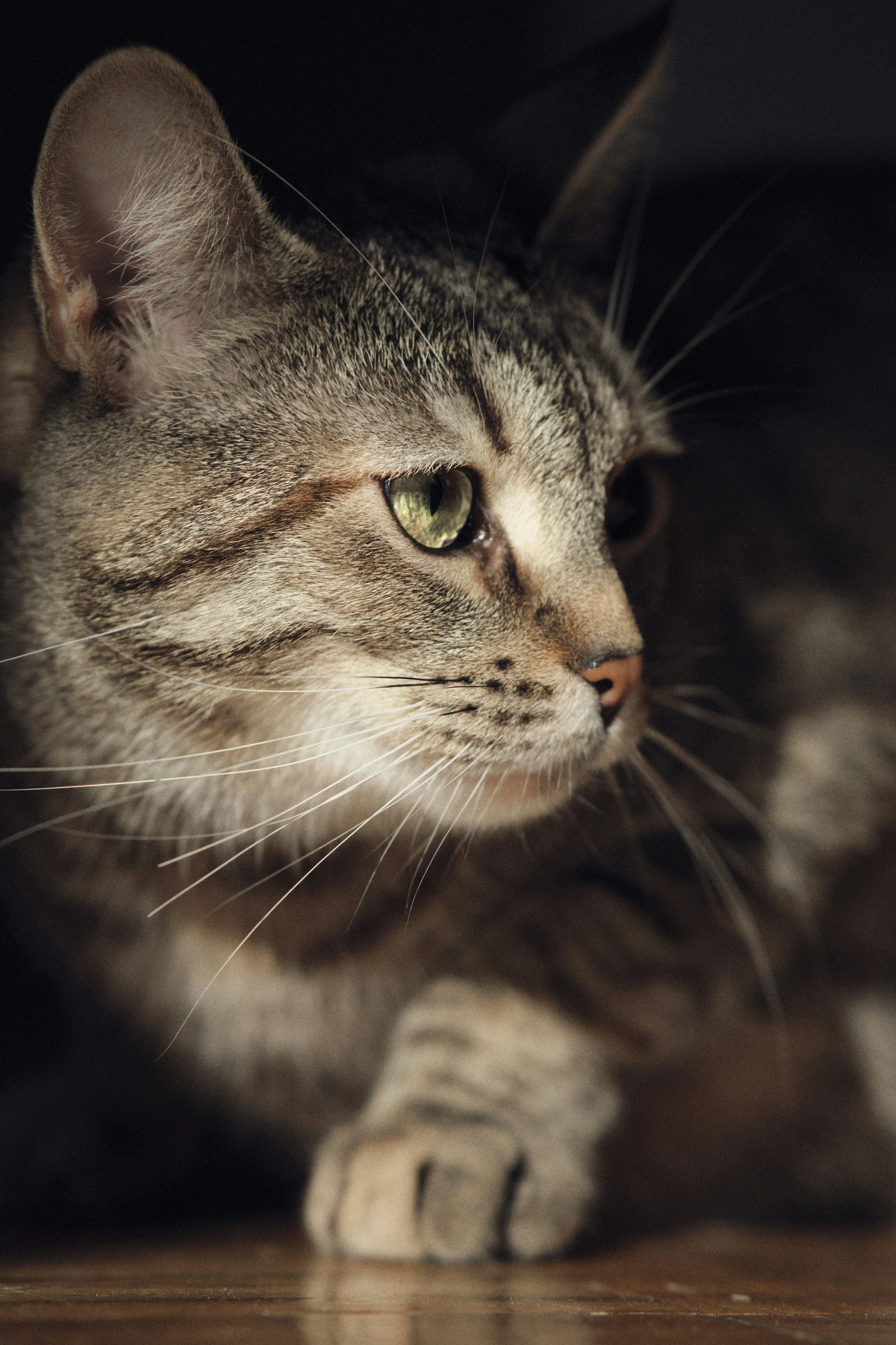 Photo by victor_vector