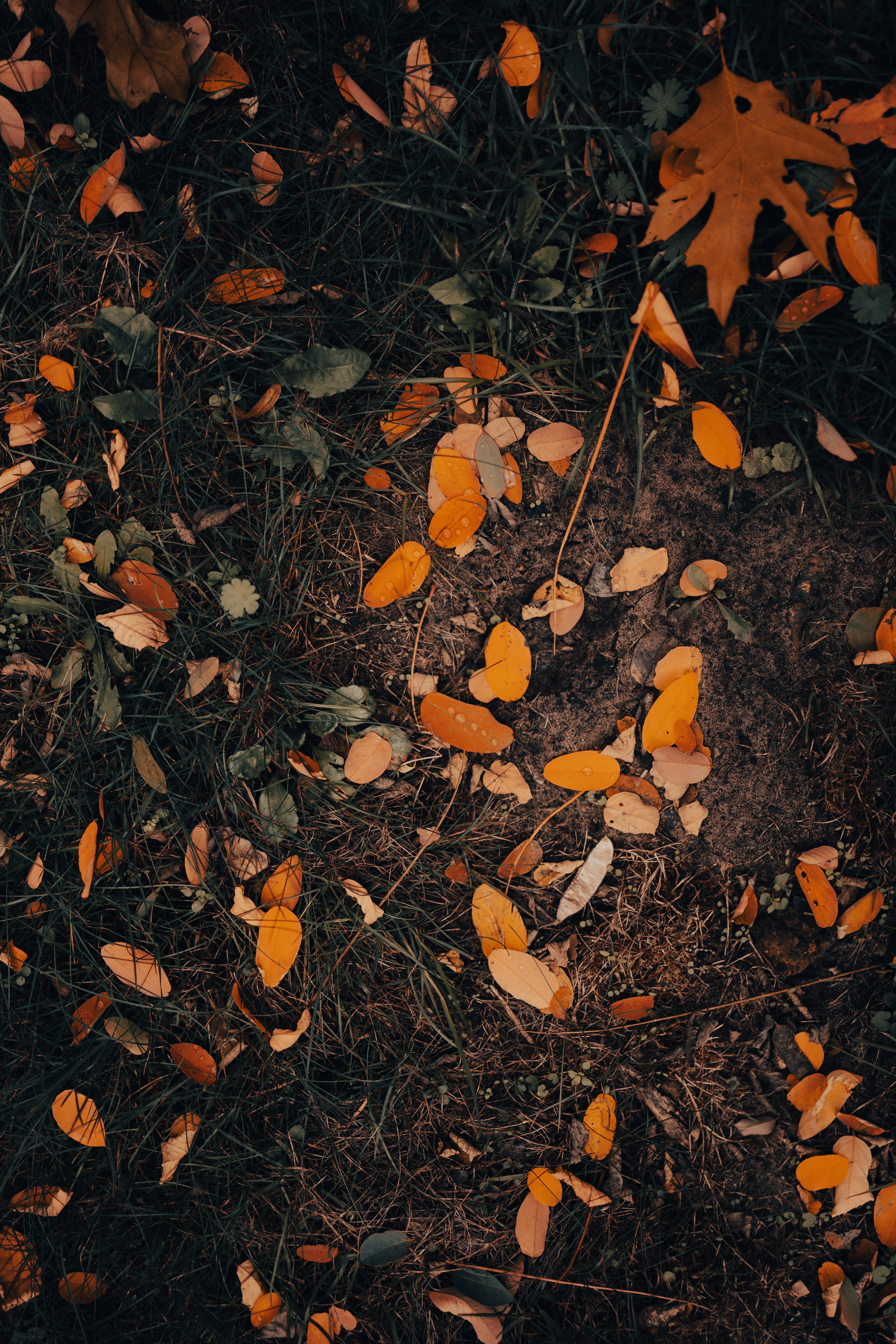 Photo by omarvellous14