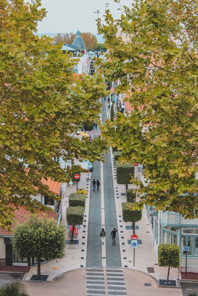 Photographie d'une rue d'Arcachon