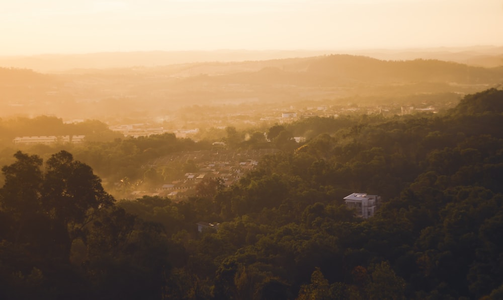 a view of a city in the distance with trees in the foreground