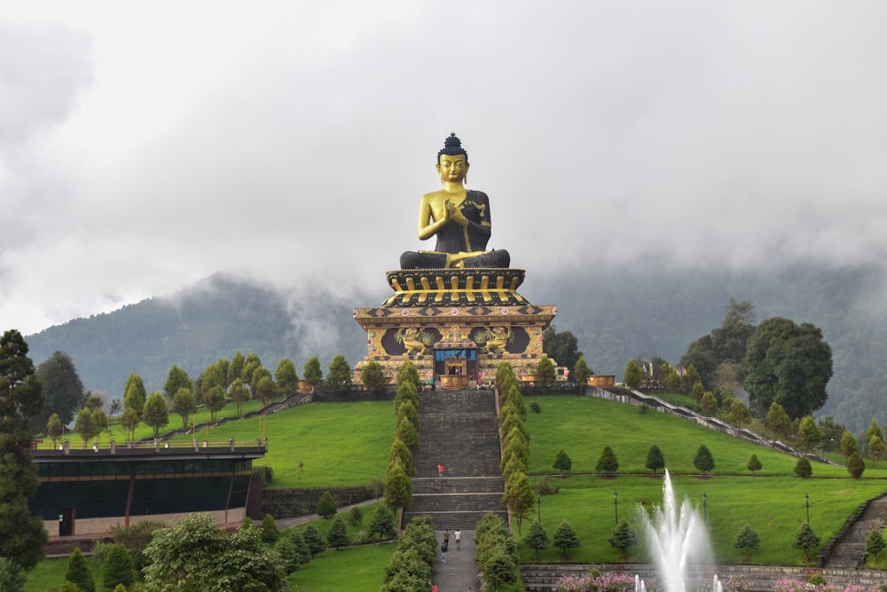 Una grande statua di Buddha seduta sulla cima di una collina verde lussureggiante