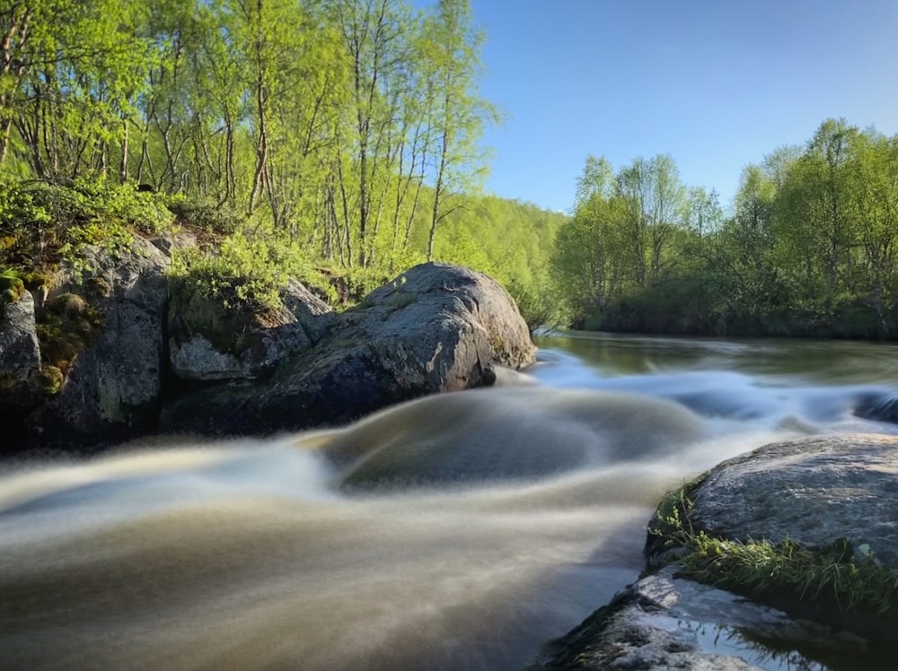 Ein Fluss, der durch einen üppigen grünen Wald fließt