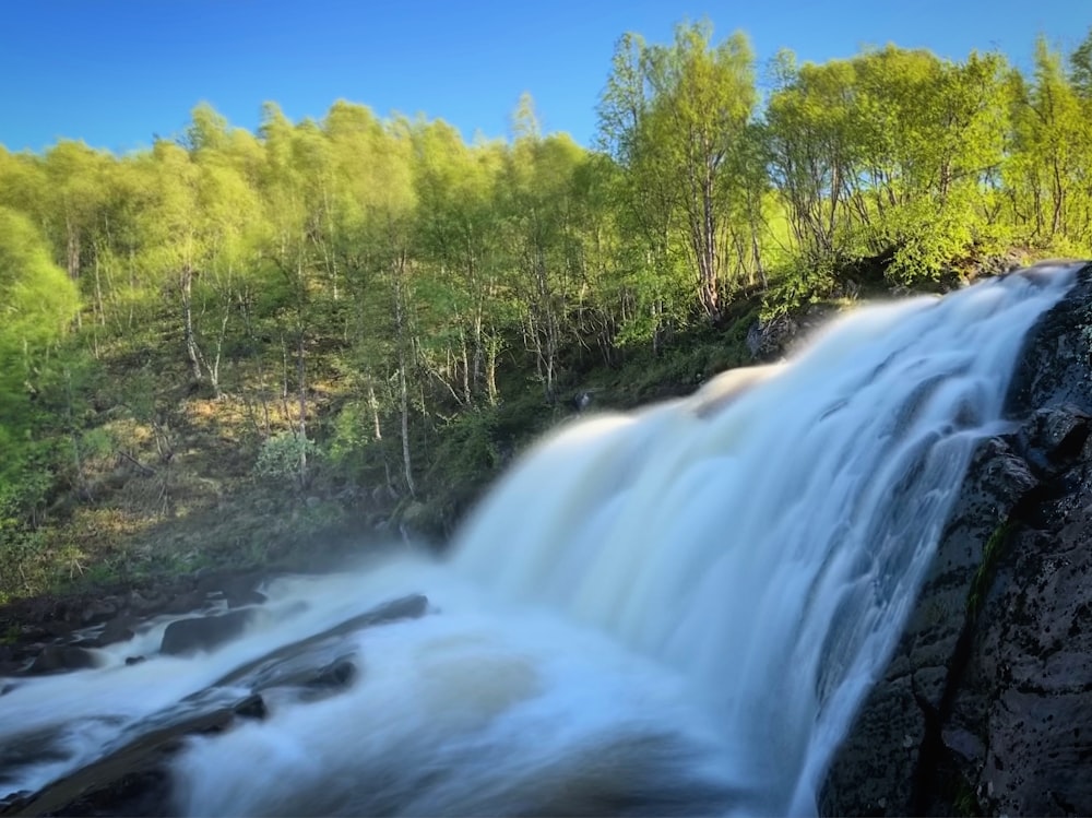 a waterfall in the middle of a forest