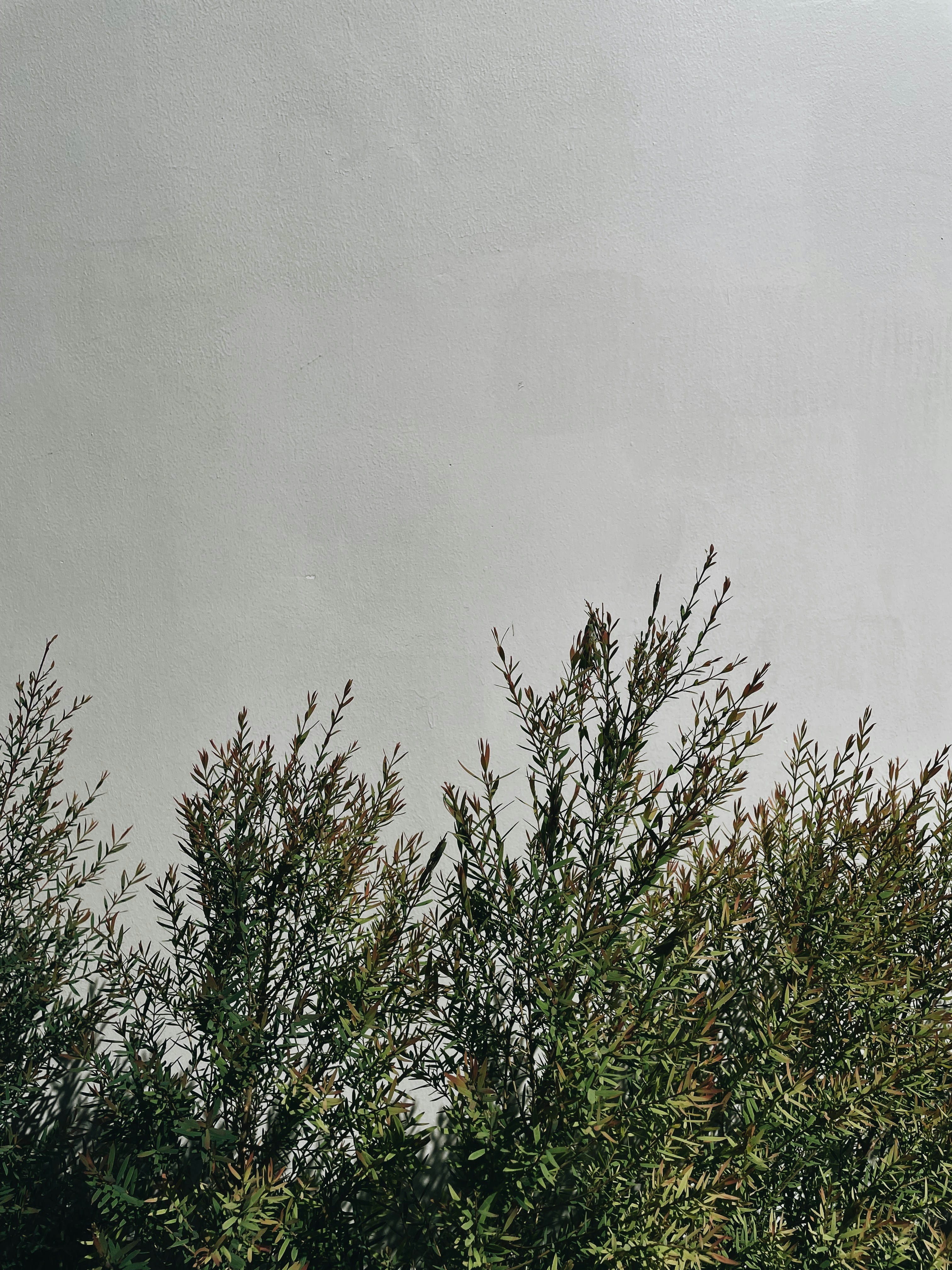 Photo by studioplayground