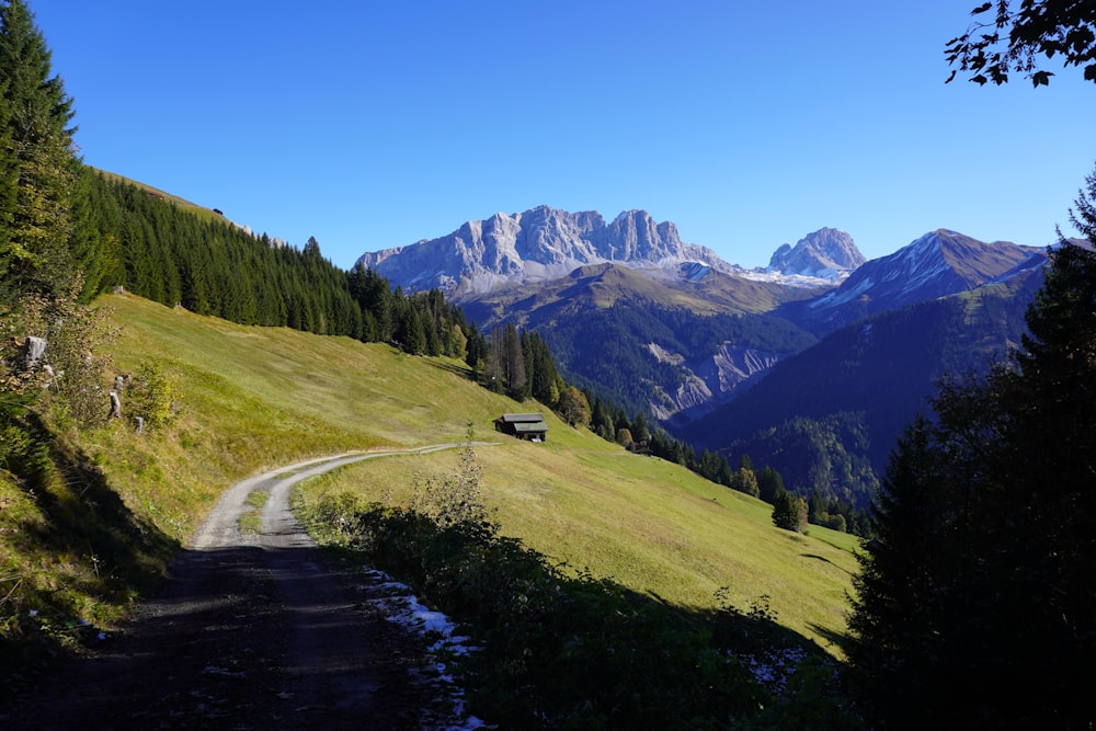 a dirt road in the middle of a grassy field