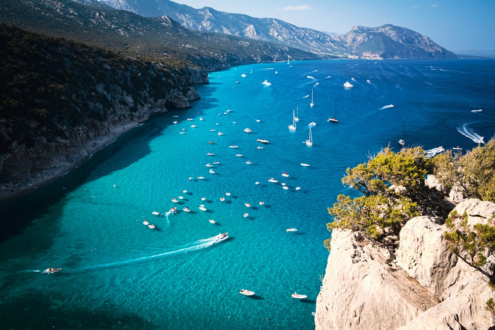 a group of boats floating on top of a body of water