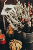 a potted plant sitting on top of a table