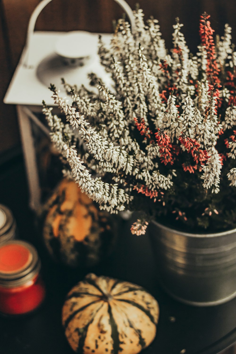 a potted plant sitting on top of a table