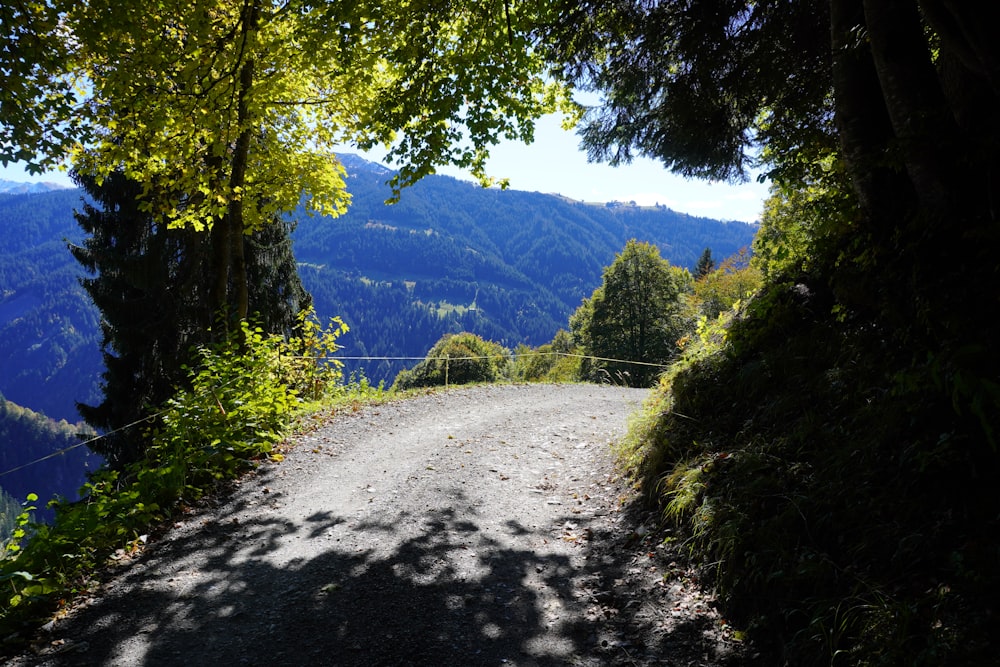 uma estrada de terra cercada por árvores e montanhas