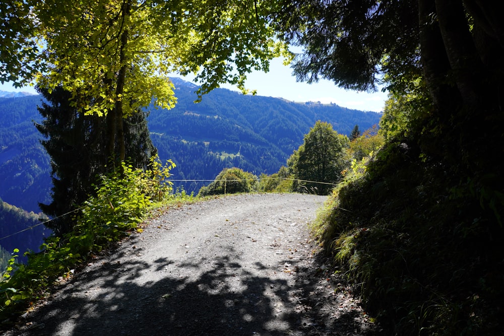 a dirt road surrounded by trees and mountains