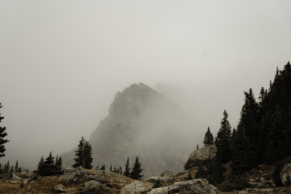 a foggy mountain with trees and rocks in the foreground