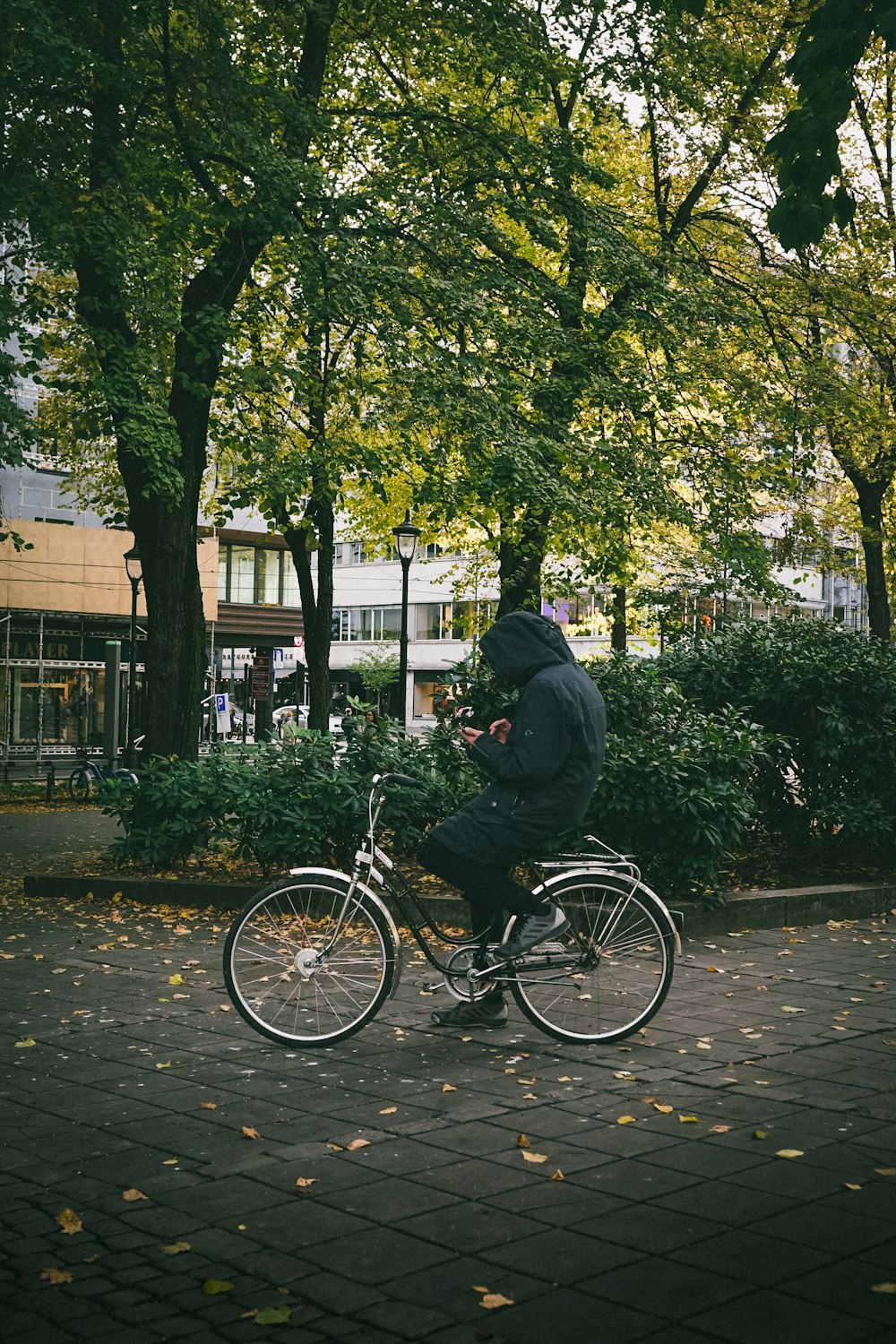 木々の隣の通りを自転車で走る男