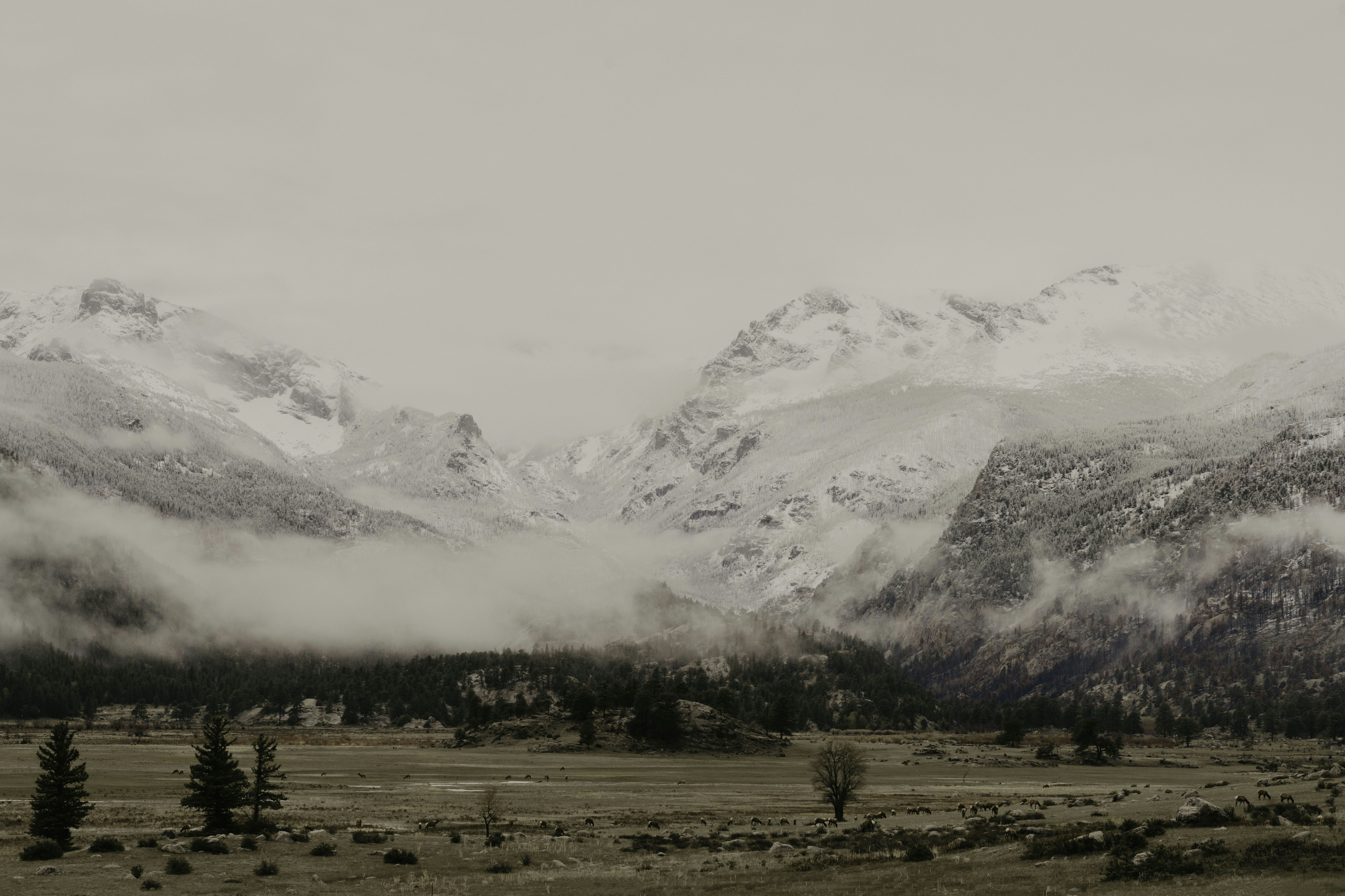 Photo by nomadicfitlust