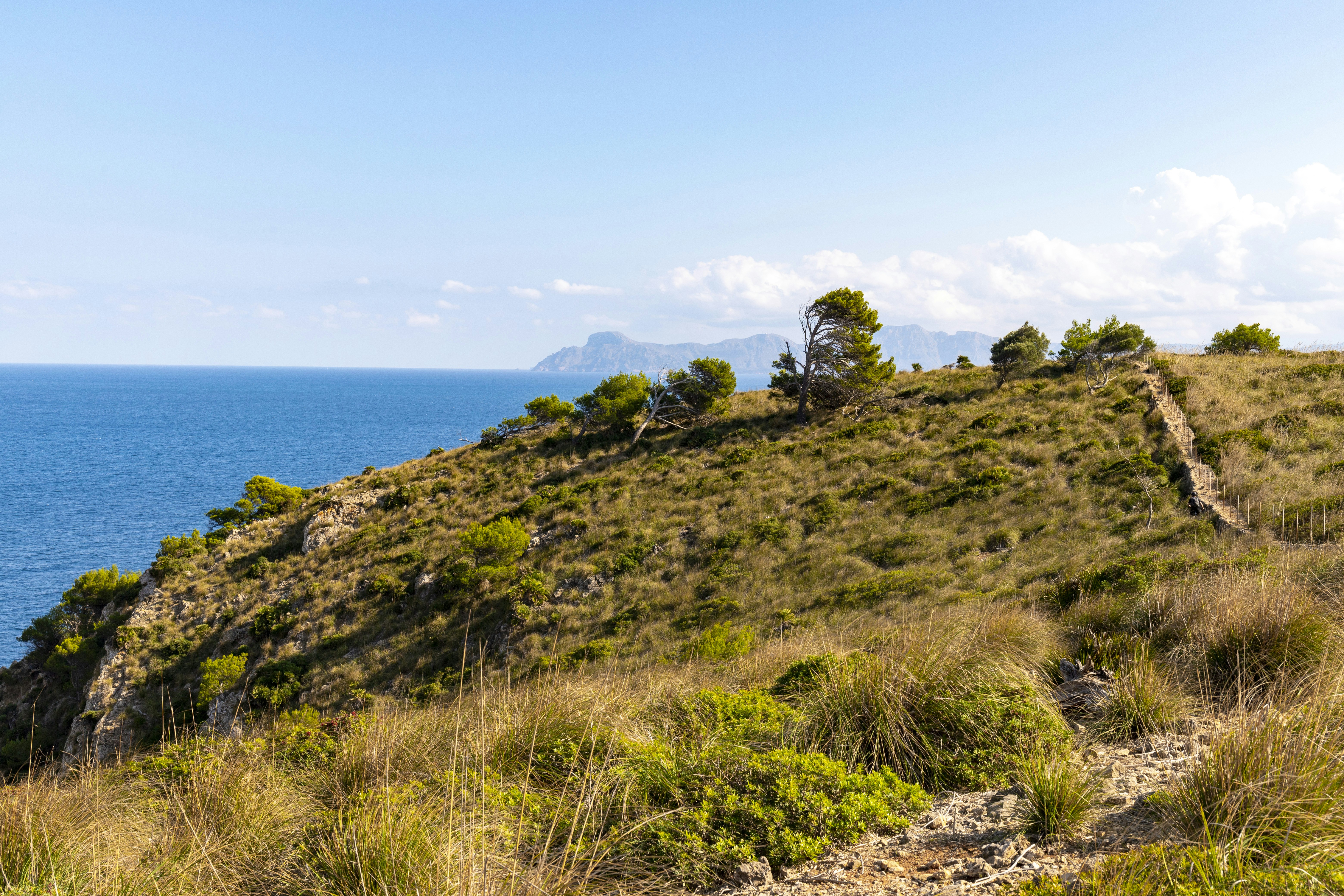 Photo by thomsonwinkler