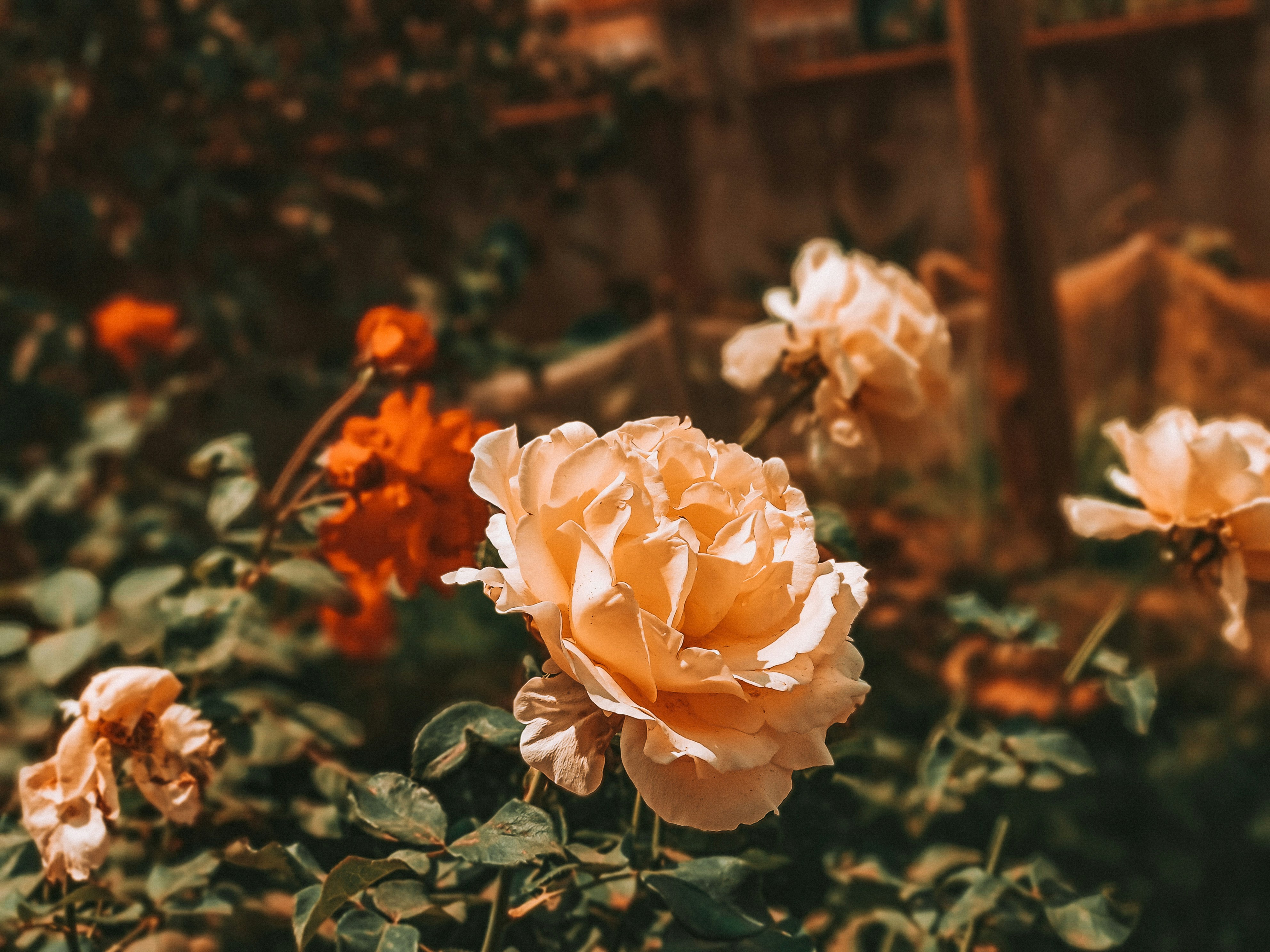 Photo by keithkasaija