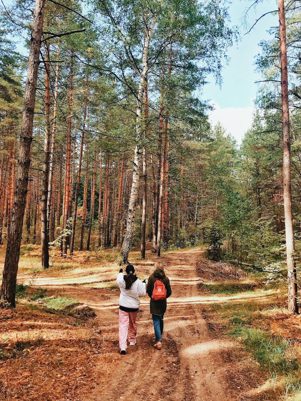 숲속의 비포장 도로를 걷고 있는 두 사람