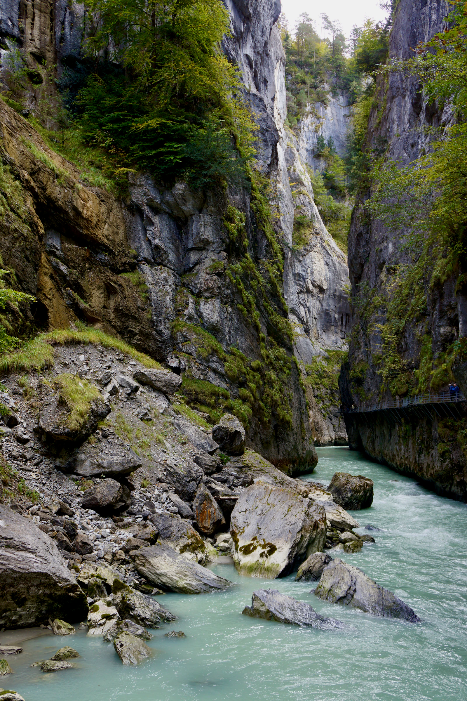 Torrent de montagne dans une gorge boisée (photo d'illustration)