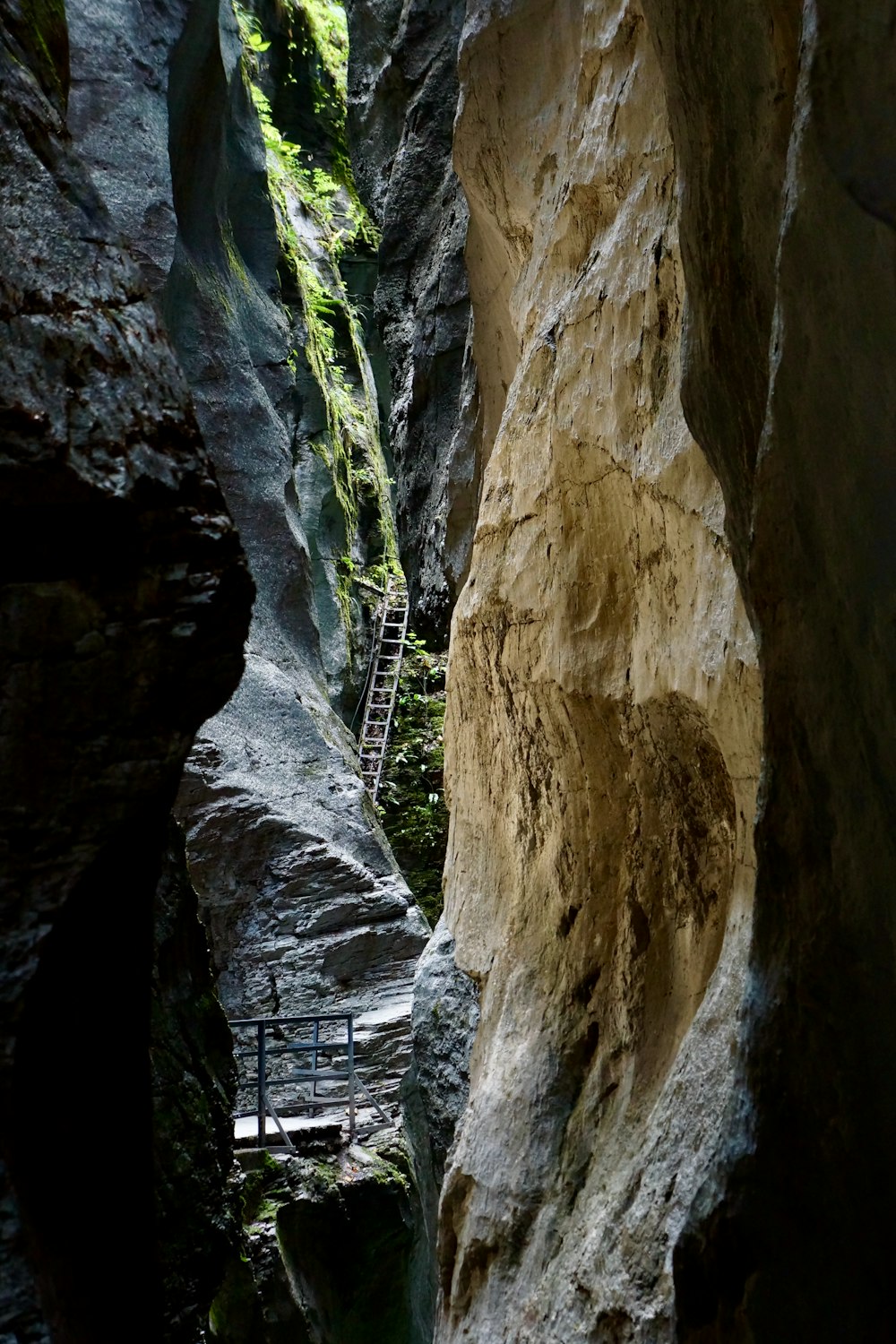 a narrow narrow canyon with a ladder going up the side