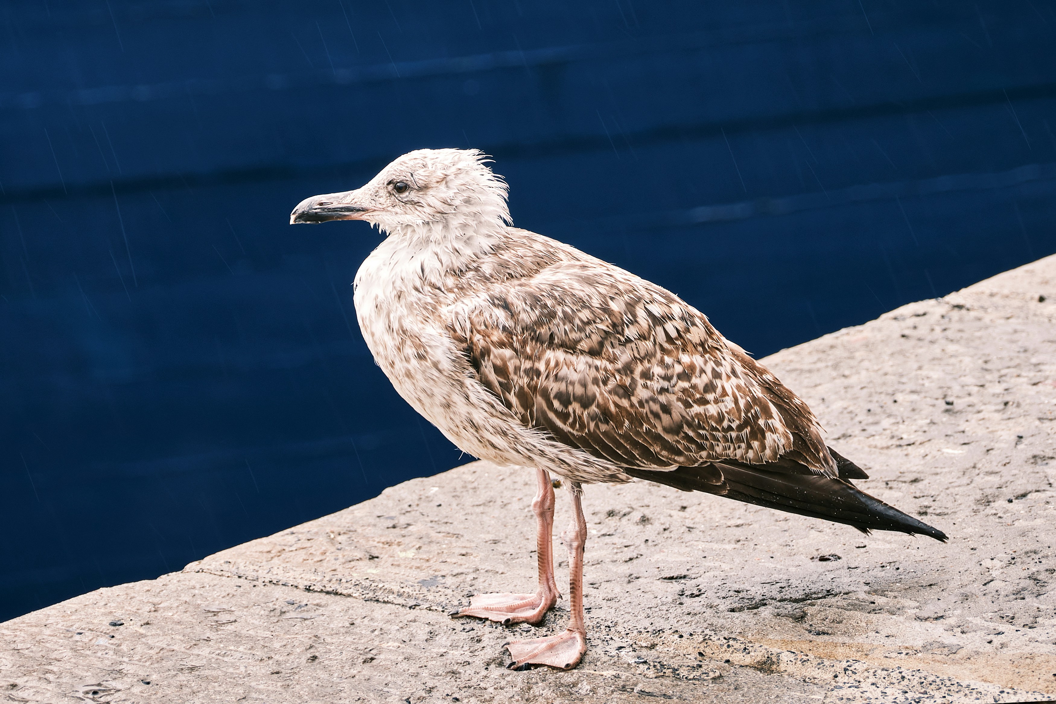 Photo by marcus_ganahl