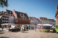 Best Romantic Dinner Spots in Freiburg for a Night to Remember