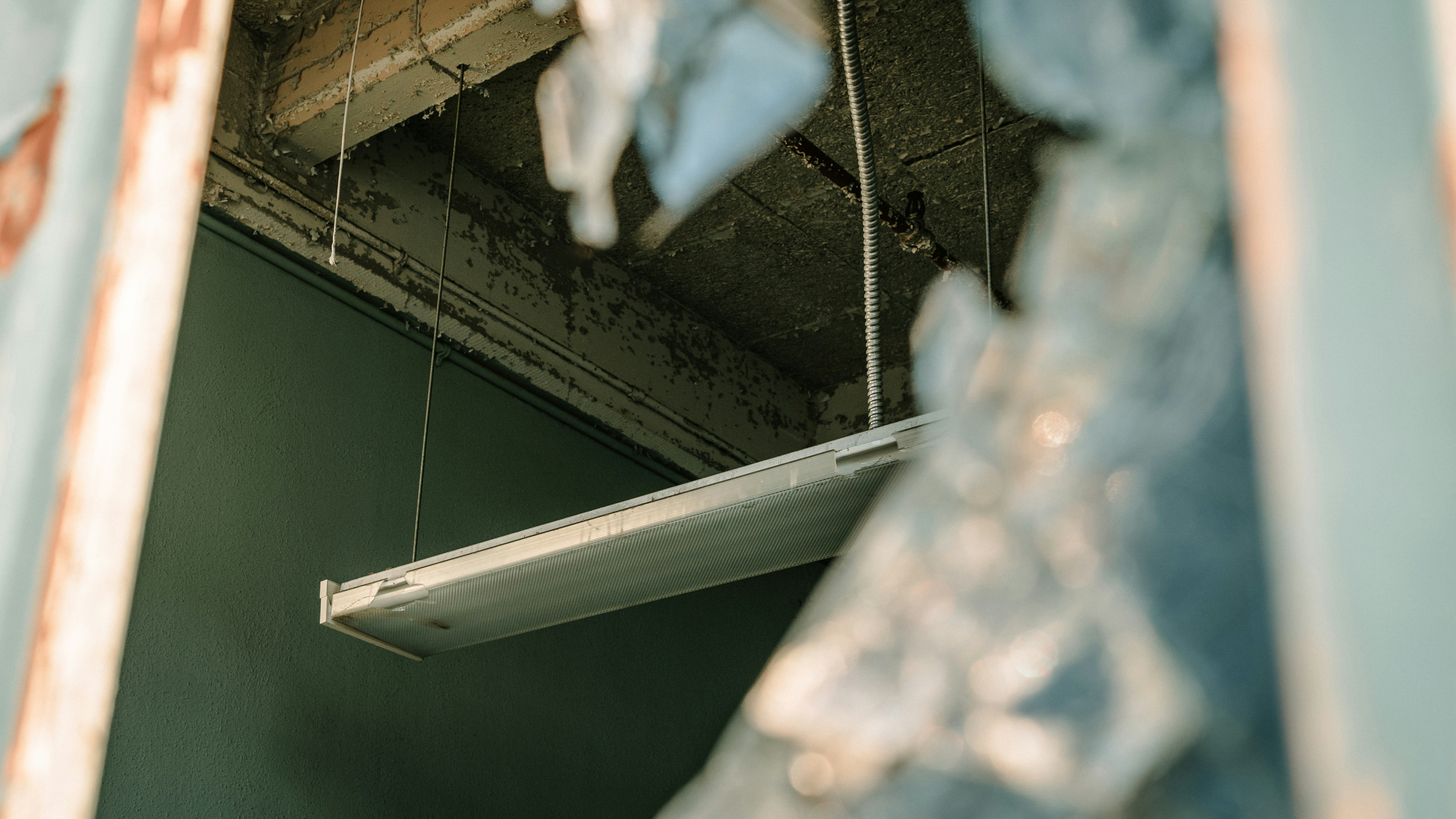 Photo by kalaniparker