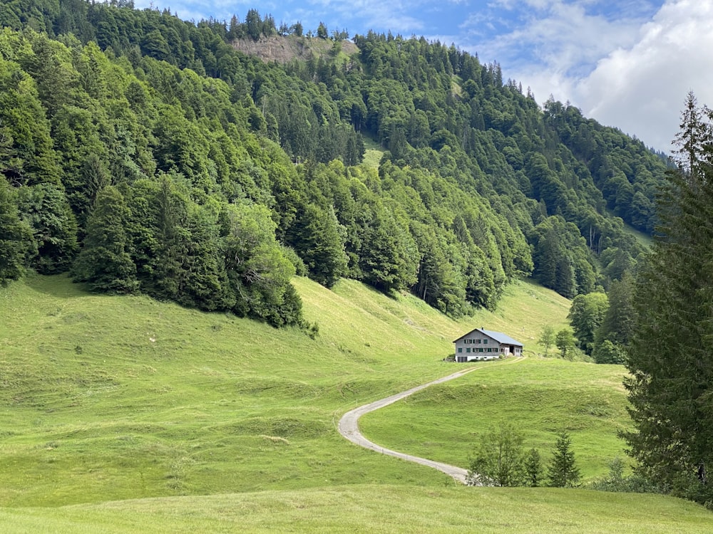 a house in the middle of a lush green field