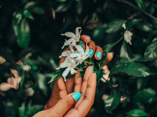 Two hands with turquoise-colored nails gently hold a cluster of white flowers surrounded by lush green foliage. The composition focuses on the delicacy and contrast between the vibrant nails and the natural elements.