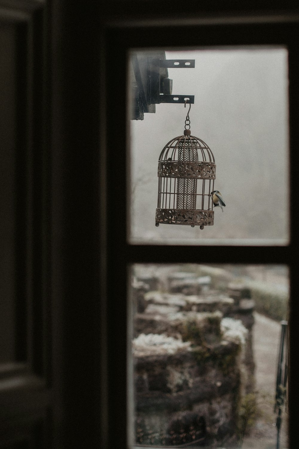 a bird in a cage hanging from a window