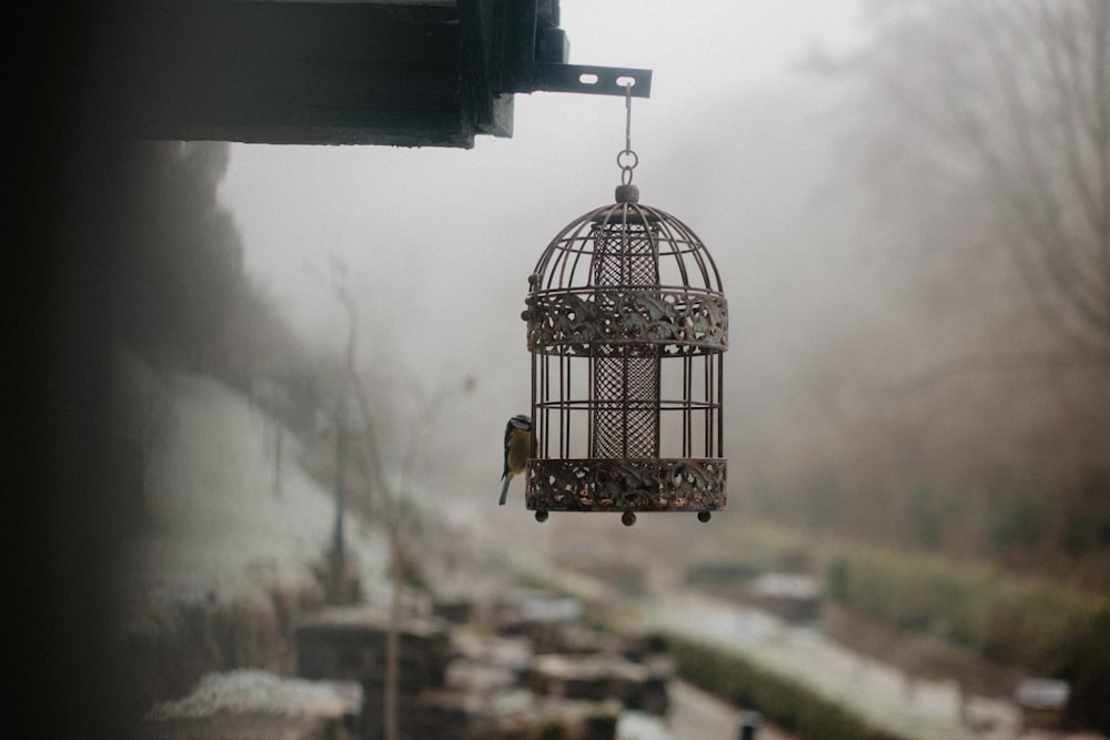 a bird cage hanging from the side of a building