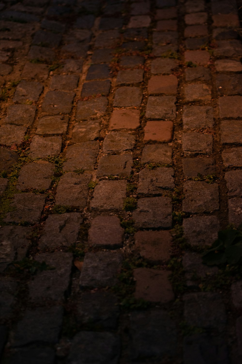 a red fire hydrant sitting on the side of a brick road