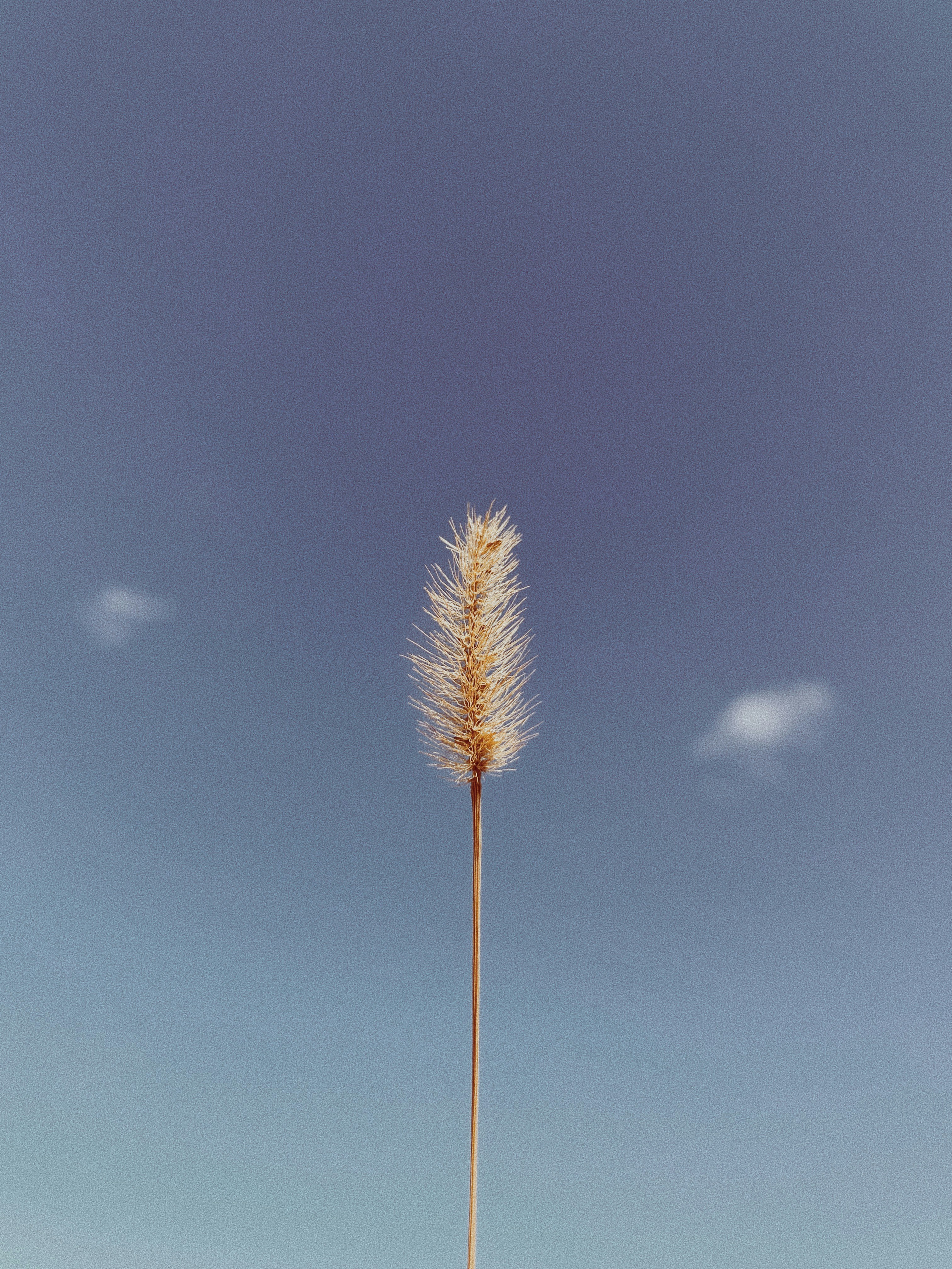 Photo by nickdepartee