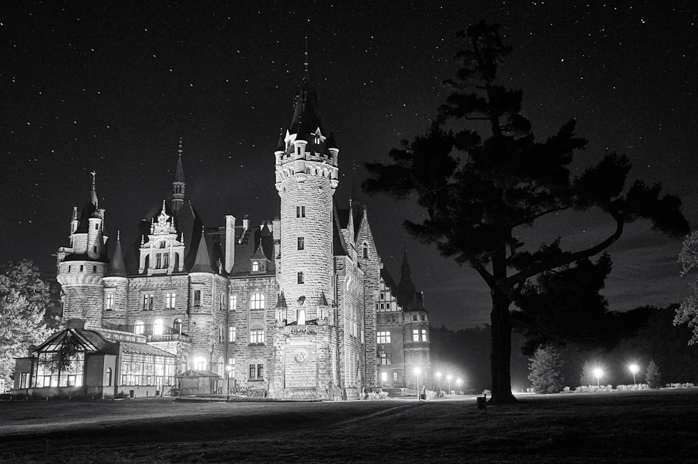 a castle lit up at night with a tree in the foreground