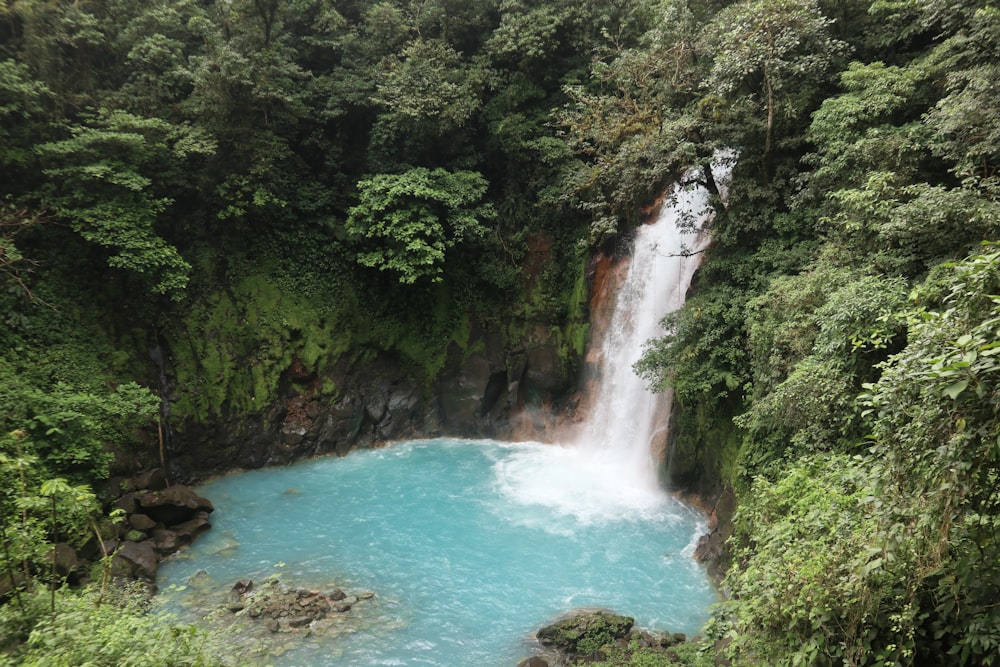 a waterfall in the middle of a river surrounded by trees