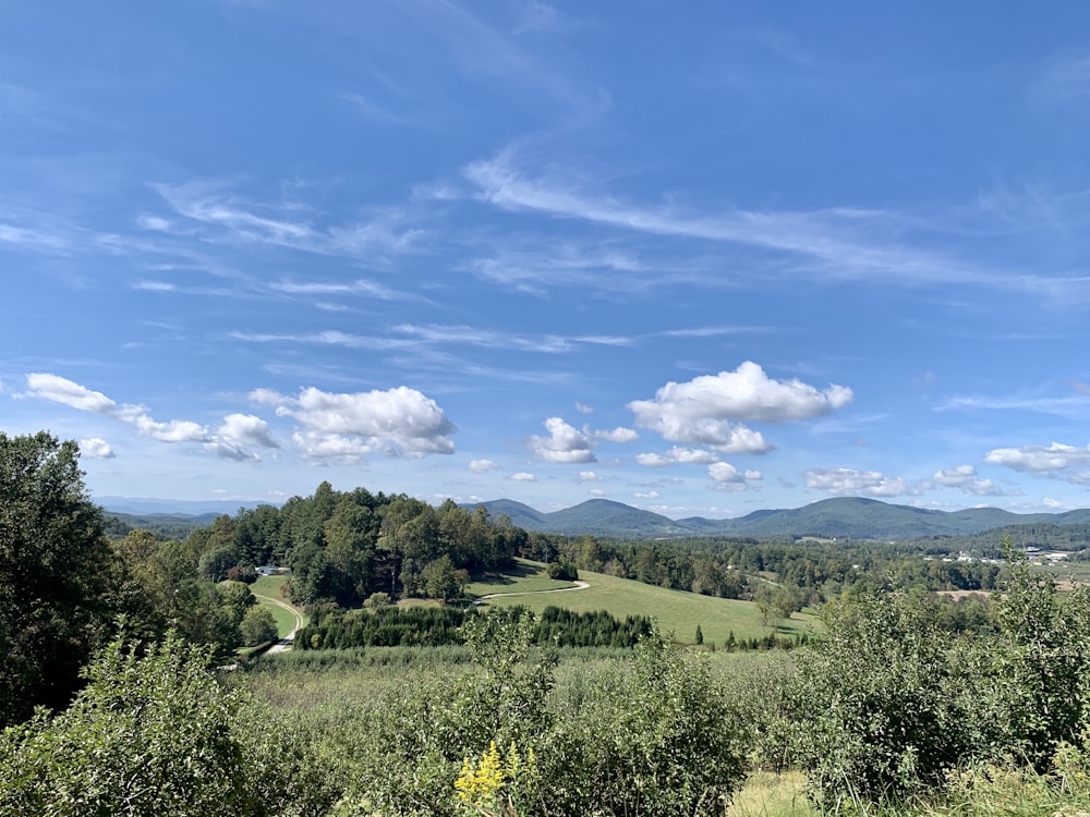 a scenic view of a lush green valley