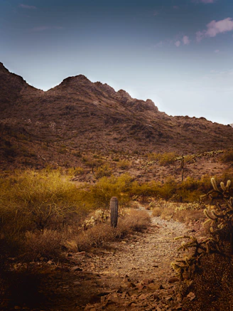 a dirt path in the desert with mountains in the background