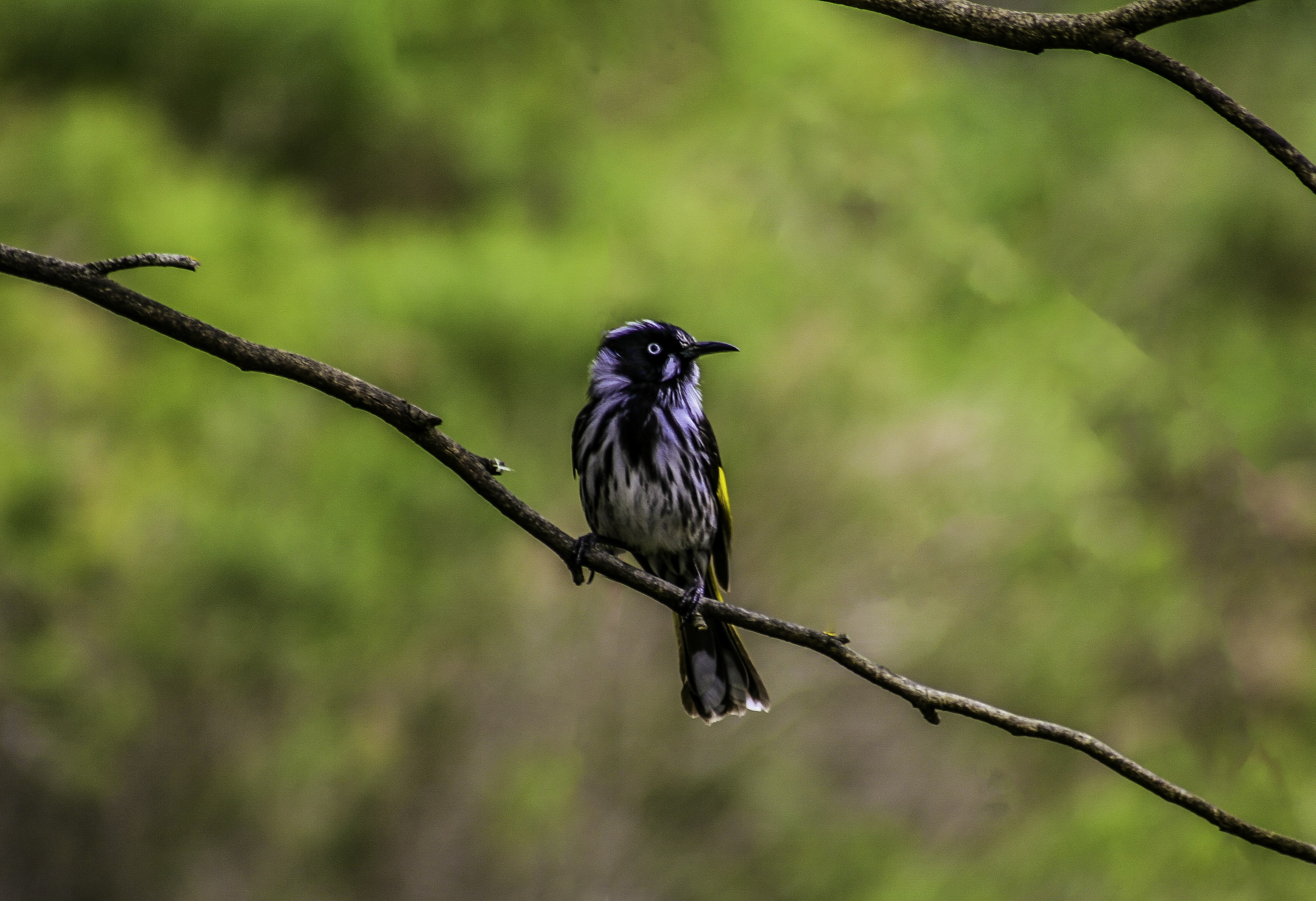 Photo by calemlovelock