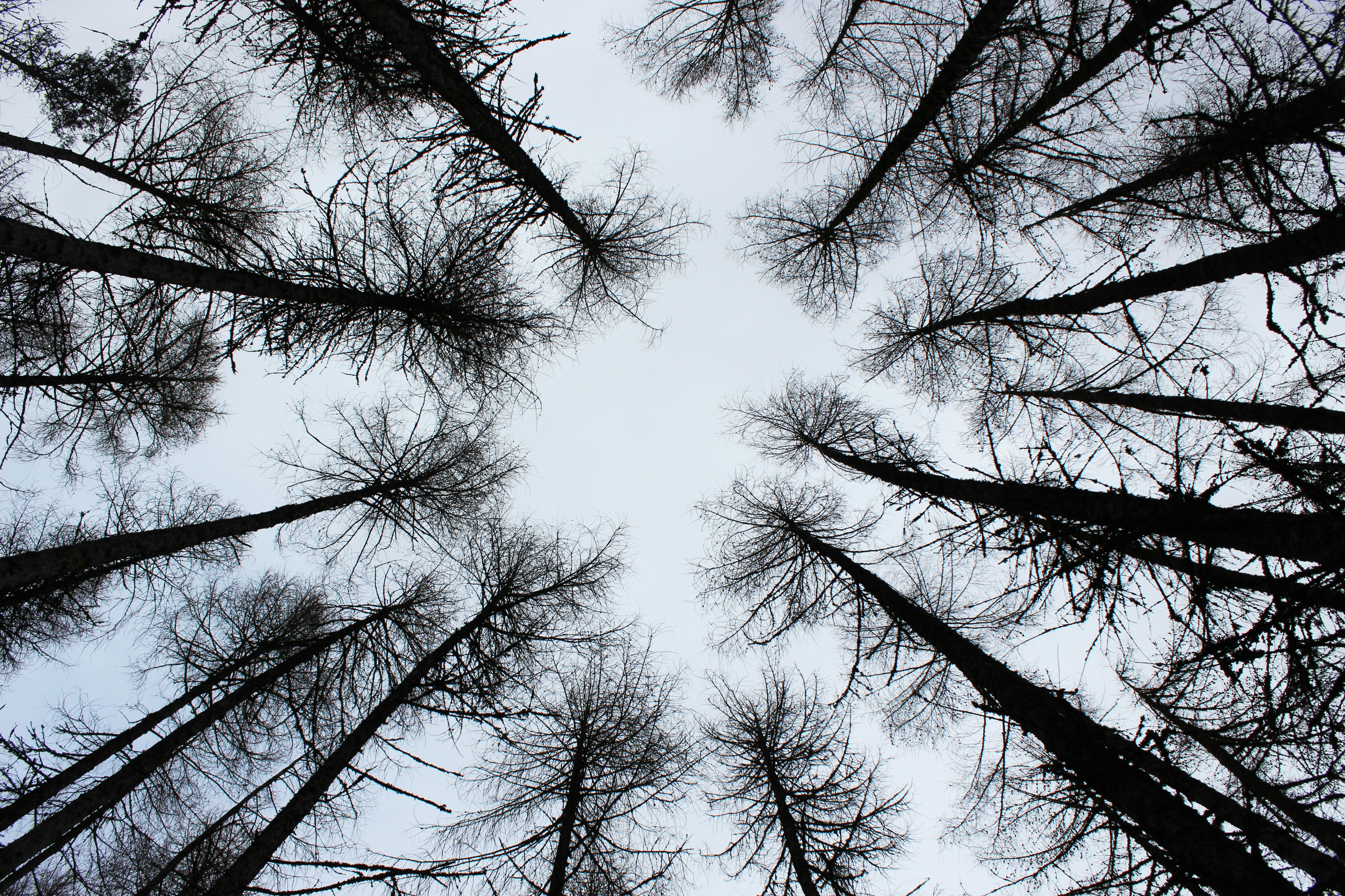 Photo by azulformentera