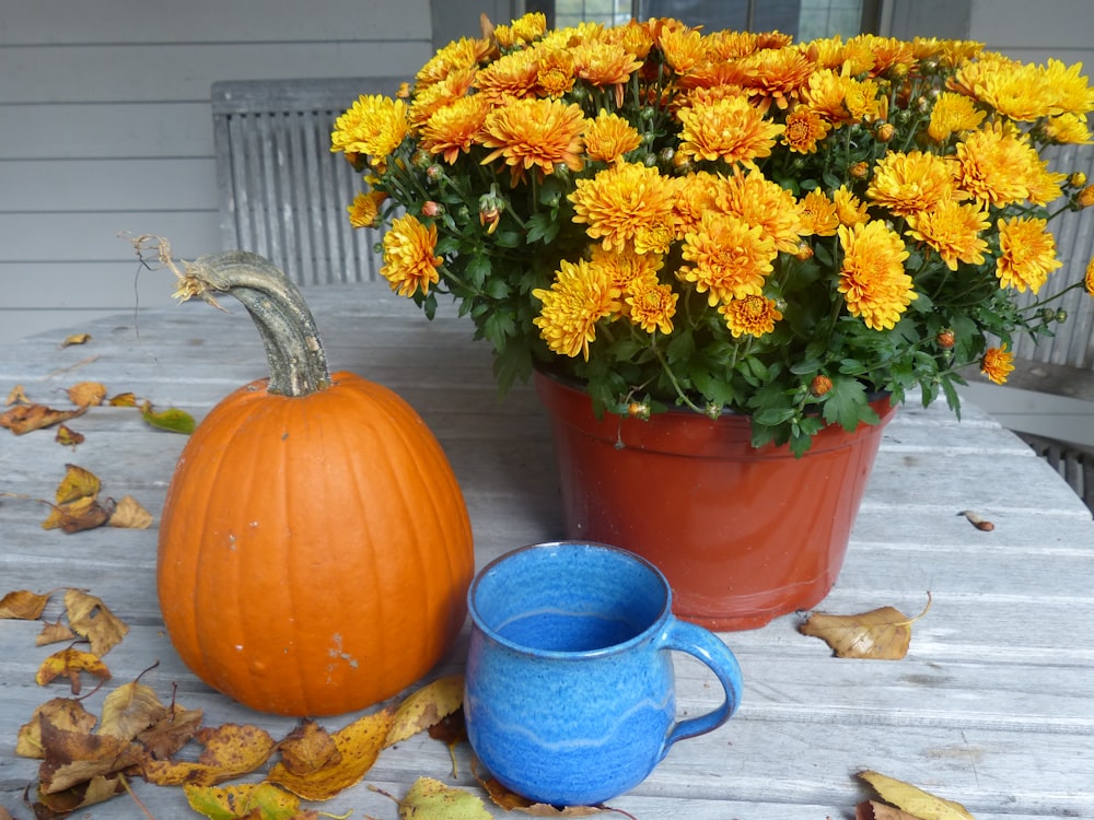 a blue mug sitting on top of a wooden table next to a potted plant