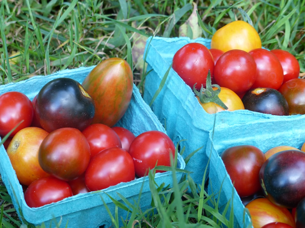 a couple of baskets filled with lots of different types of tomatoes