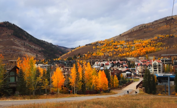 a scenic view of a town in the mountains