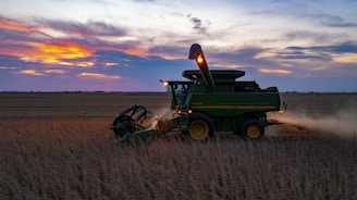 a combine harvesting a field at sunset