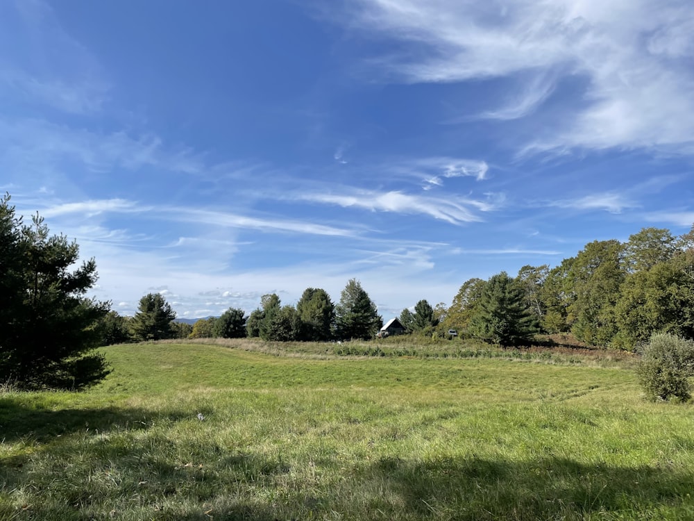 a grassy field with trees in the background