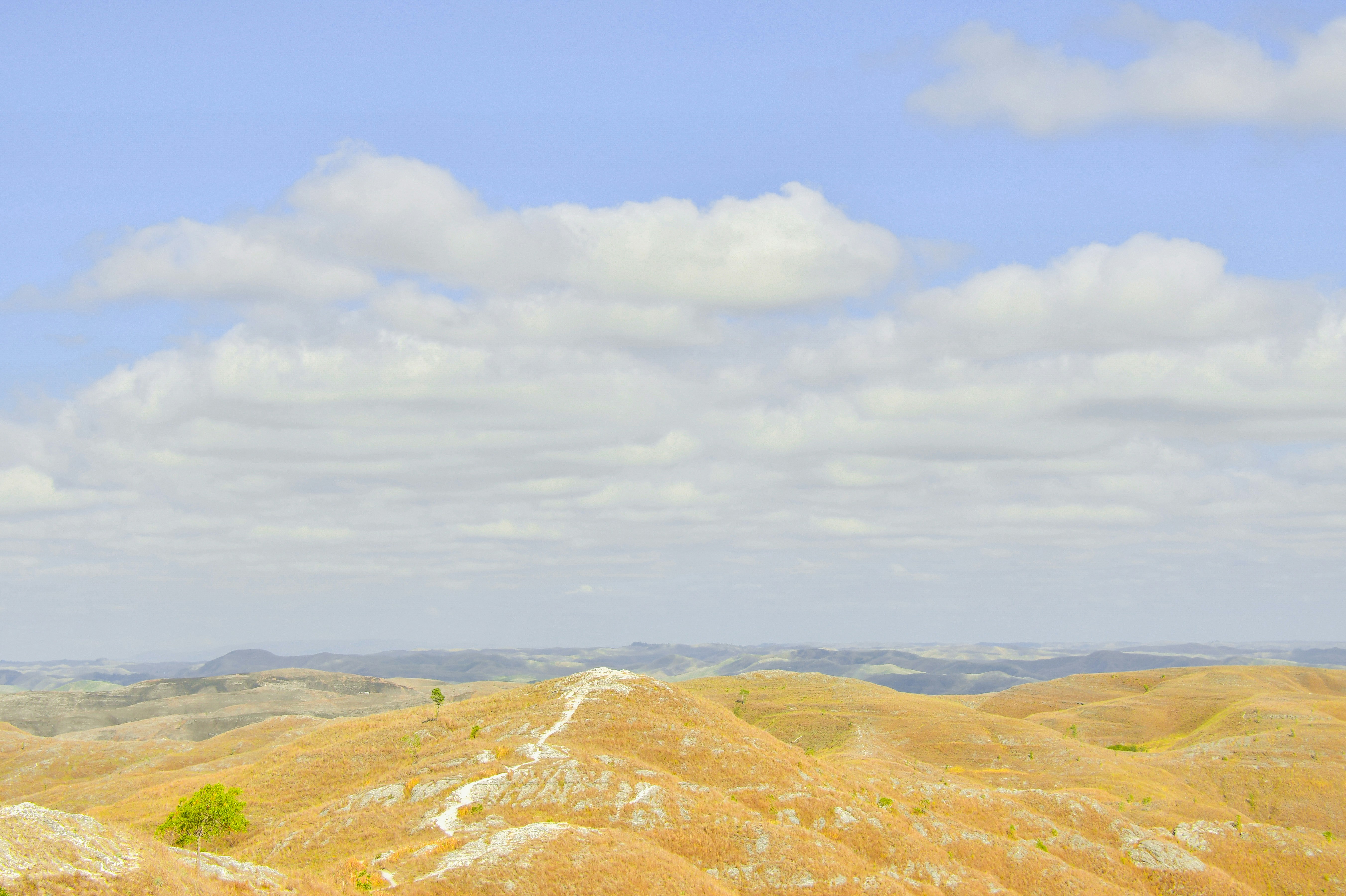 una vista di una catena montuosa con un singolo albero in primo piano