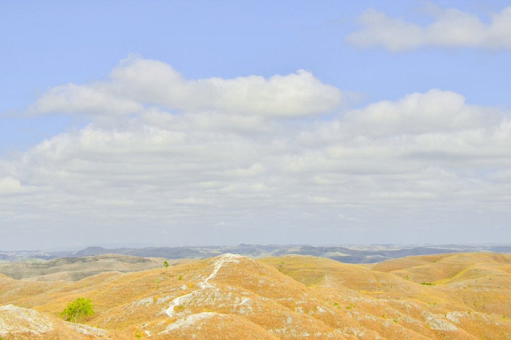 a view of a mountain range with a single tree in the foreground