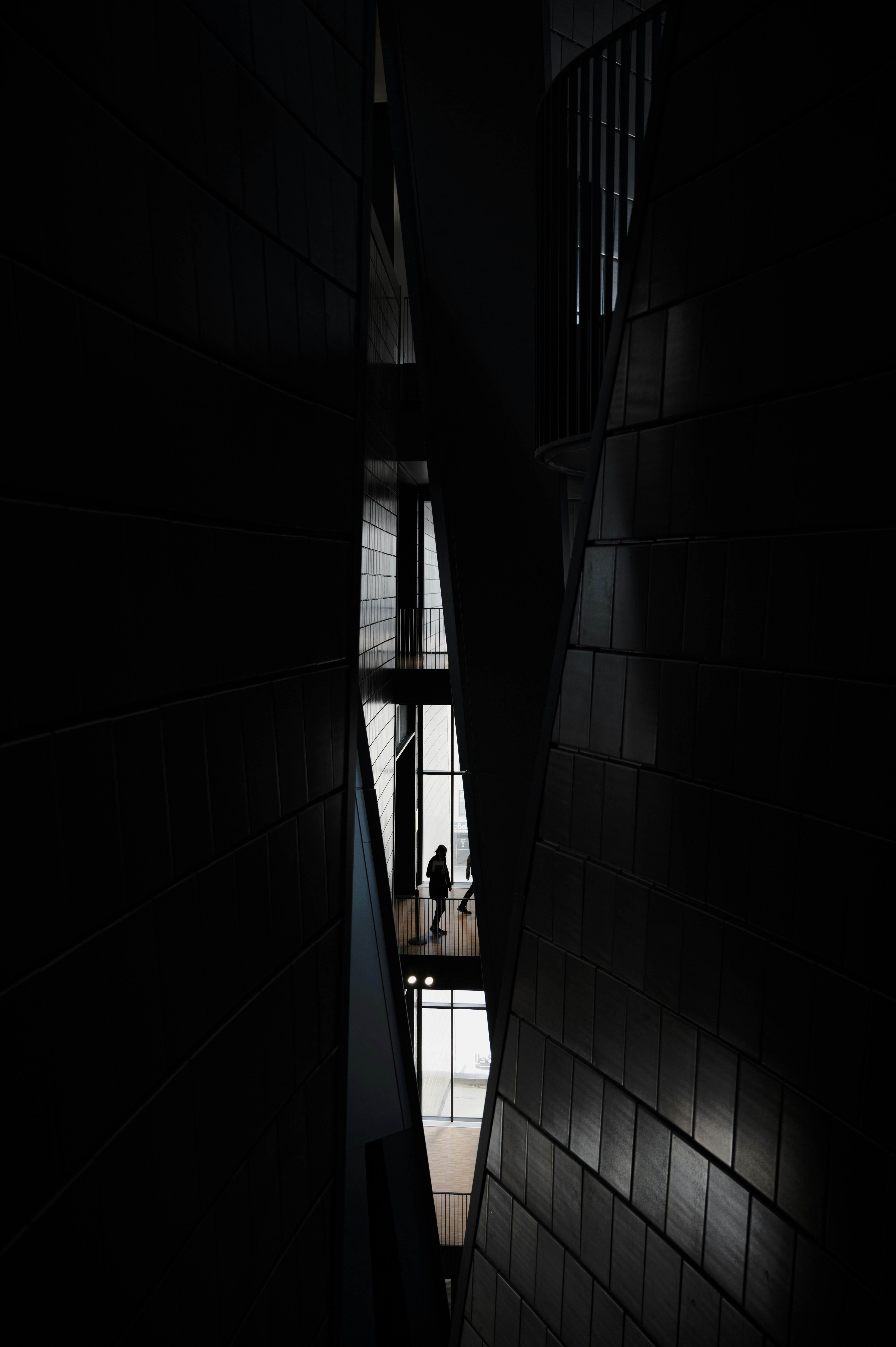 Photo by ryunosuke_kikuno