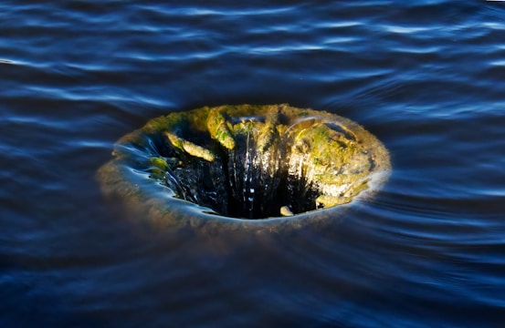 A mysterious whirlpool with dark, swirling water surrounding a central hole, partially covered in green moss or algae.