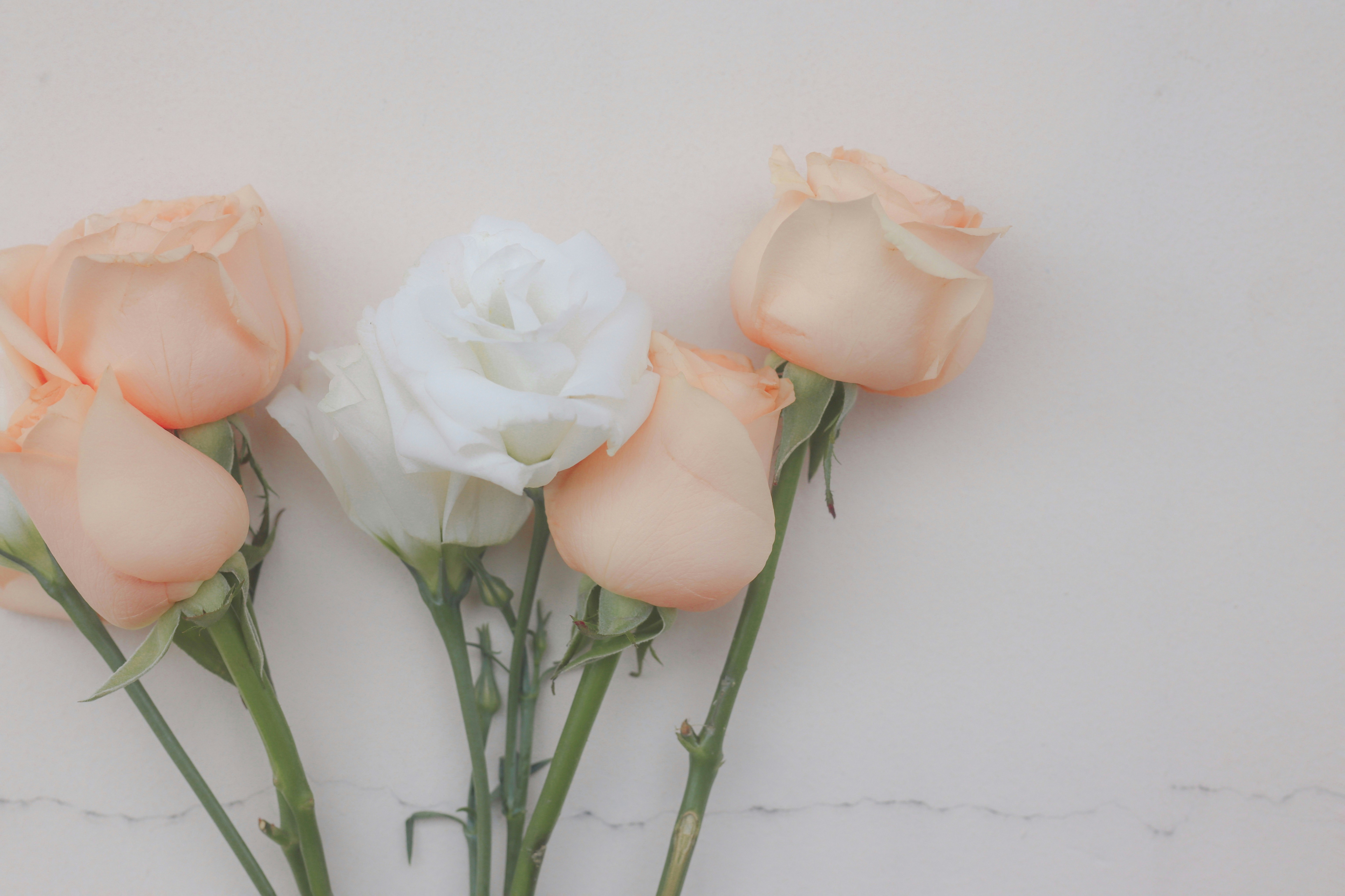 un mazzo di fiori che sono seduti su un tavolo